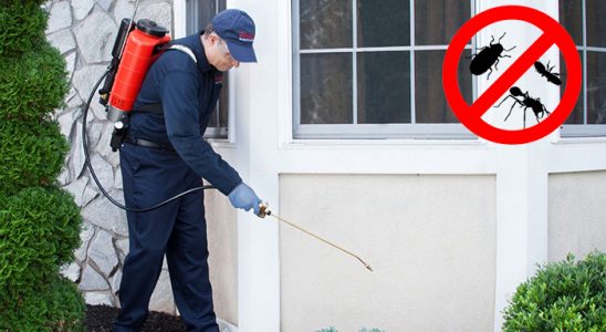 Eskifoça Böcek ve Haşere İlaçlama böcek ilaçlama ve haşere kontrolü — ilaclama-tr.com